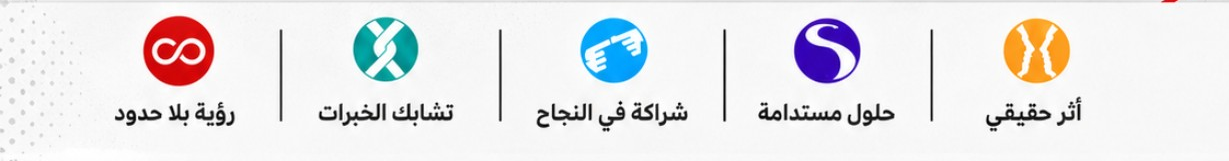 رؤية بلا حدود · تشابك الخبرات · شراكة في النجاح · حلول مستدامة · أثر حقيقي